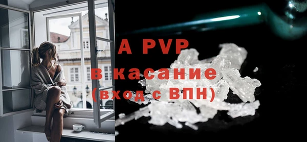 ГАЛЛЮЦИНОГЕННЫЕ ГРИБЫ Наволоки